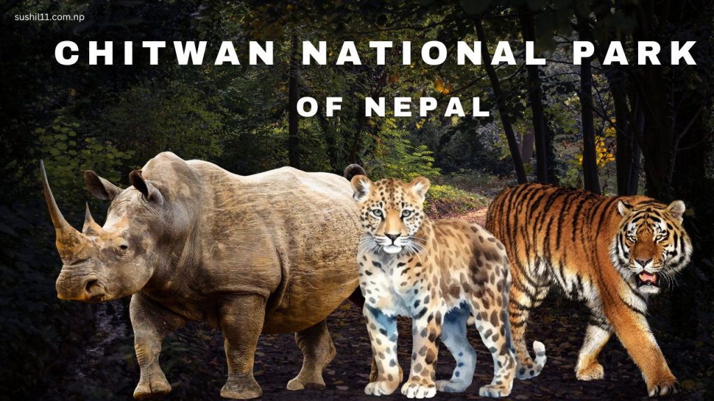 Chitwan National Park 